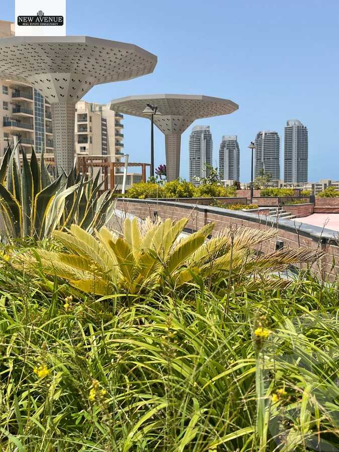 https://aqarmap.com.eg/ar/listing/6241535-for-sale-north-coast-resorts-mrsy-marina-west-marassi