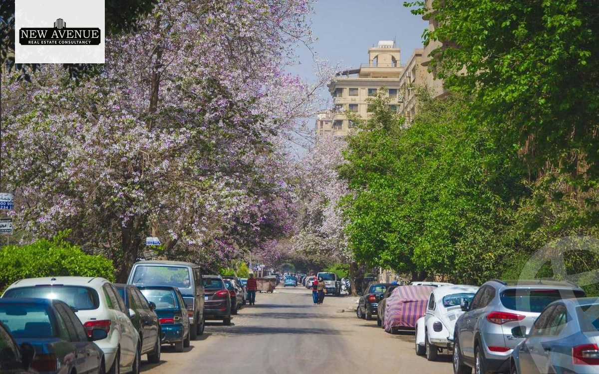 https://aqarmap.com.eg/en/listing/6393311-for-sale-cairo-el-maadi-degla-street-254