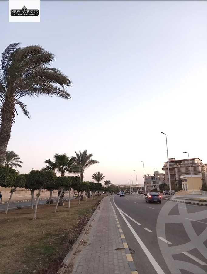 https://aqarmap.com.eg/en/listing/6396868-for-sale-cairo-new-cairo-gharb-arabila-doctor-hani-maher-st