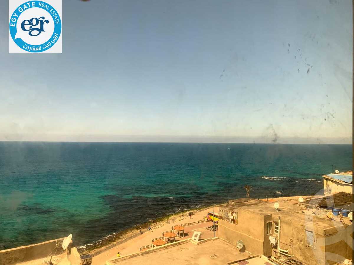 https://aqarmap.com.eg/en/listing/4801388-for-sale-alexandria-ibrahimia-shr-ljysh