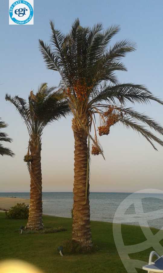 https://aqarmap.com.eg/ar/listing/5886259-for-sale-ain-elsokhna-resorts-la-vista-gardens