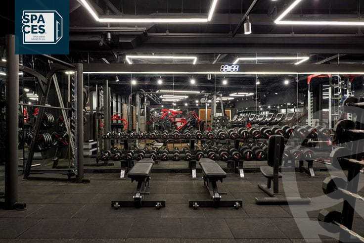 https://aqarmap.com.eg/en/listing/4817785-for-rent-cairo-new-cairo-90th-street-90th:-between-mountain-view-roundabout-and-auc