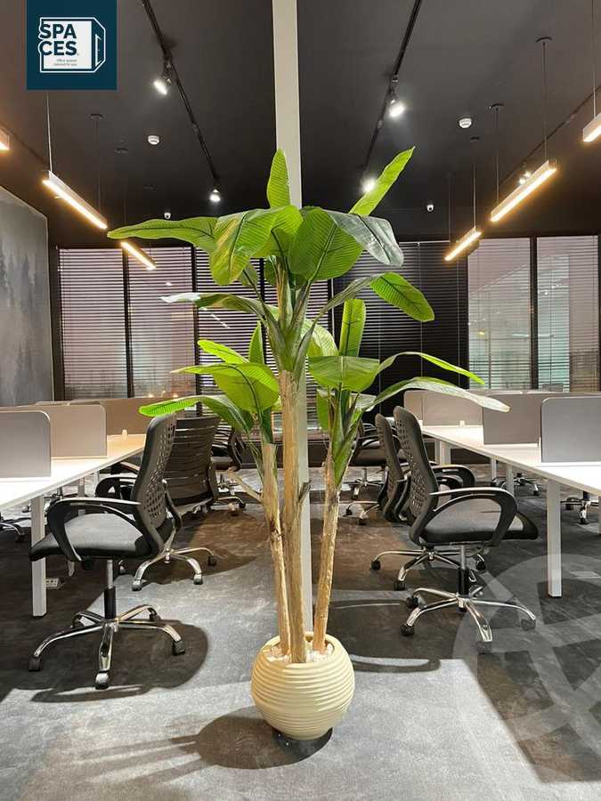 https://aqarmap.com.eg/en/listing/5318777-for-rent-cairo-new-cairo-90th-street-south-teseen-st