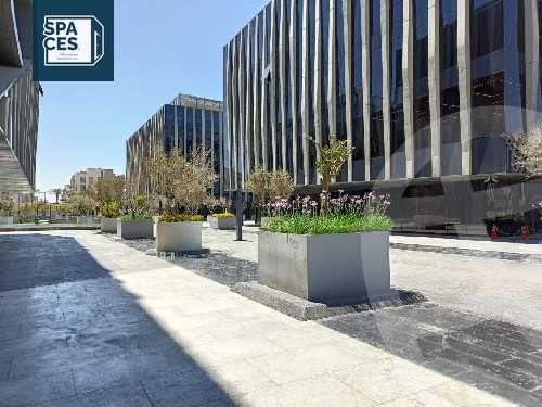 https://aqarmap.com.eg/en/listing/5328345-for-rent-cairo-new-cairo-90th-street-northern-90th-street