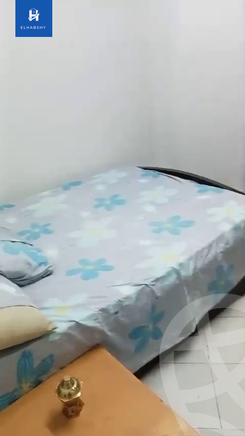 https://aqarmap.com.eg/en/listing/5989139-for-rent-cairo-dokki-el-tahrir-st