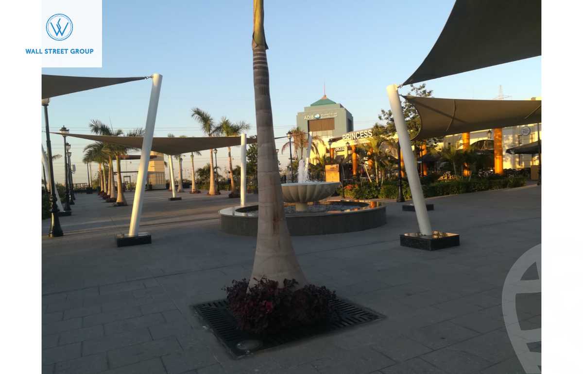 https://aqarmap.com.eg/en/listing/5733899-for-sale-cairo-new-cairo-madinaty-open-air-mall