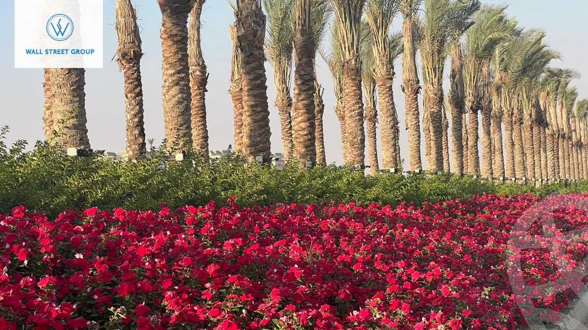 https://aqarmap.com.eg/en/listing/5948696-for-sale-cairo-new-cairo-lmstqbl-syty-compounds-green-square