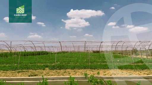 https://aqarmap.com.eg/en/listing/5357048-for-sale-el-fayoum-tamiya-el-mazatatly