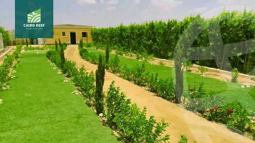 https://aqarmap.com.eg/en/listing/5357048-for-sale-el-fayoum-tamiya-el-mazatatly