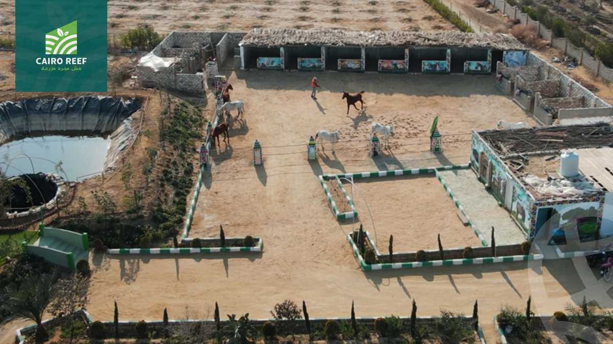 https://aqarmap.com.eg/en/listing/5357048-for-sale-el-fayoum-tamiya-el-mazatatly