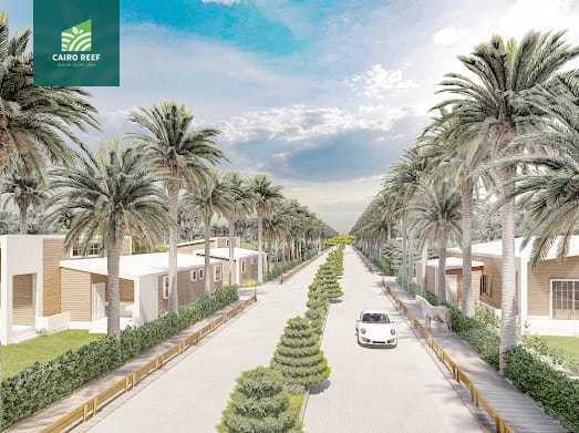https://aqarmap.com.eg/en/listing/5357040-for-sale-el-fayoum-tamiya-tamiyyah-city