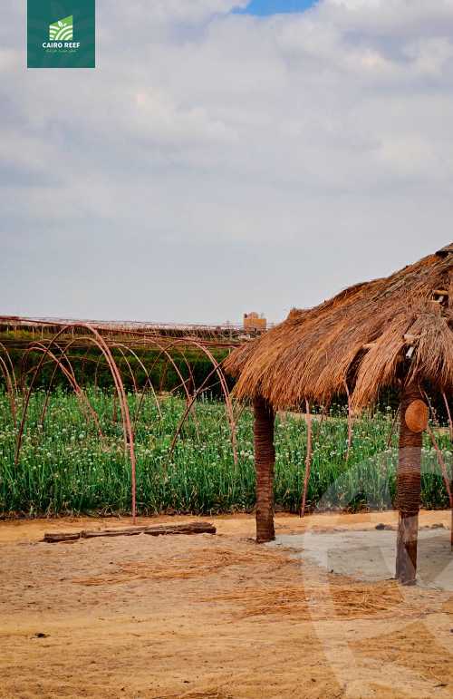 https://aqarmap.com.eg/en/listing/5512251-for-sale-el-fayoum-tamiya-el-mazatatly