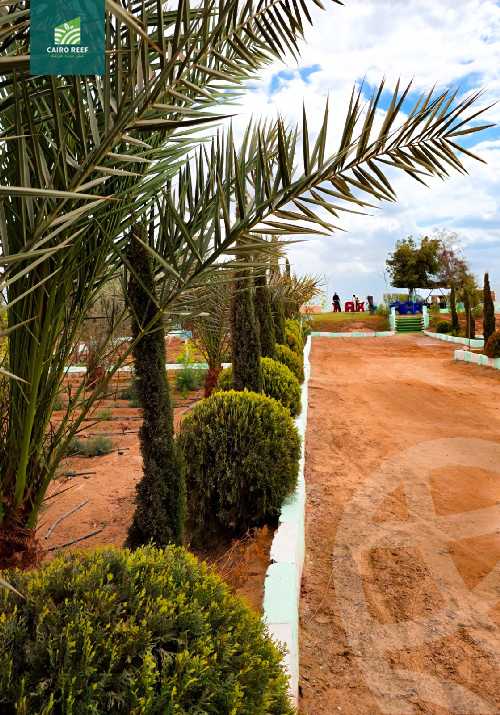 https://aqarmap.com.eg/en/listing/5512251-for-sale-el-fayoum-tamiya-el-mazatatly