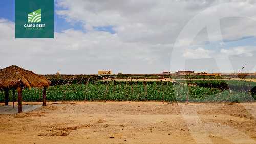 https://aqarmap.com.eg/en/listing/5867052-for-sale-el-fayoum-tamiya-el-mazatatly