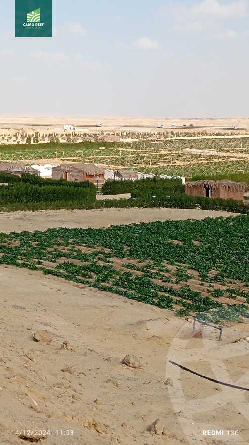 https://aqarmap.com.eg/en/listing/5876945-for-sale-el-fayoum-tamiya-el-mazatatly