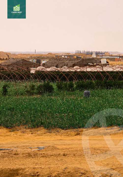 https://aqarmap.com.eg/en/listing/5943926-for-sale-el-fayoum-tamiya-el-mazatatly