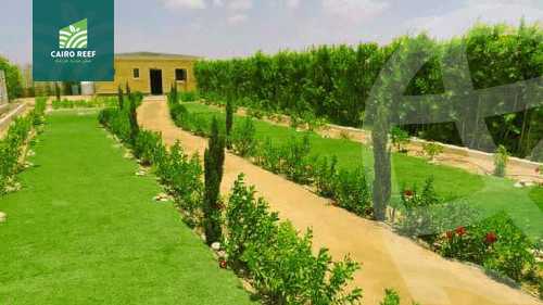 https://aqarmap.com.eg/en/listing/6008202-for-sale-el-fayoum-tamiya-el-mazatatly
