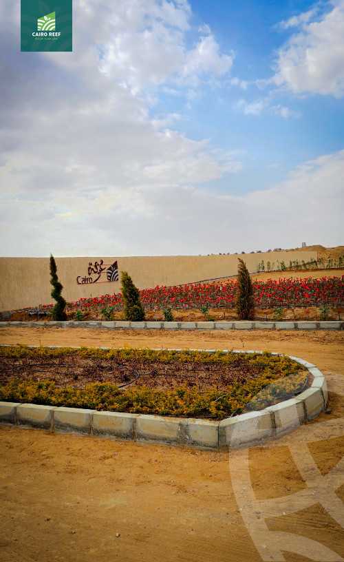 https://aqarmap.com.eg/en/listing/6023573-for-sale-el-fayoum-tamiya-el-mazatatly
