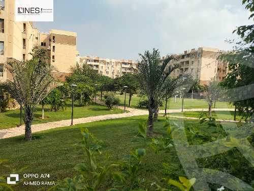 https://aqarmap.com.eg/en/listing/5518385-for-sale-cairo-new-cairo-madinaty-seventh-zone-buildings-mdynty-by-7