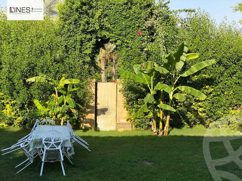 https://aqarmap.com.eg/en/listing/5668535-for-rent-cairo-new-cairo-madinaty