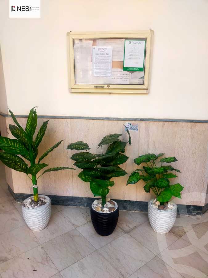 https://aqarmap.com.eg/en/listing/6055975-for-sale-cairo-new-cairo-lrhb-city-phase-1-alabnoudi-st