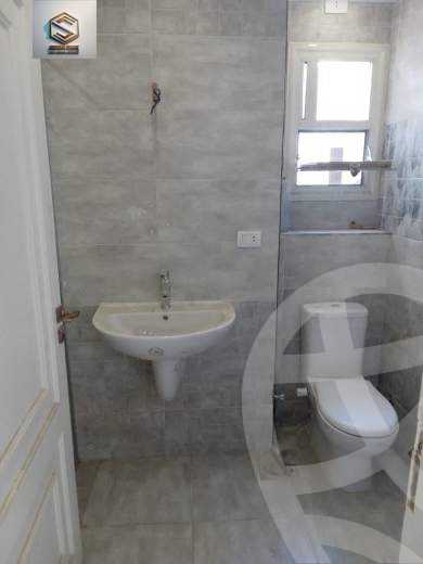 https://aqarmap.com.eg/en/listing/4045877-for-rent-cairo-nasr-city-mohamed-hassanein-heikal