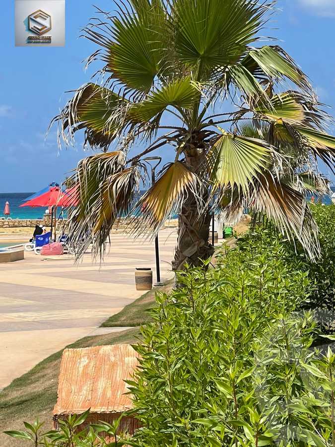 https://aqarmap.com.eg/ar/listing/4156612-for-sale-north-coast-resorts-la-sirena-north-coast
