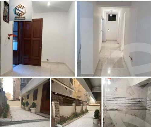 https://aqarmap.com.eg/ar/listing/5771753-for-rent-cairo-nasr-city-mostafa-el-nahaas-st