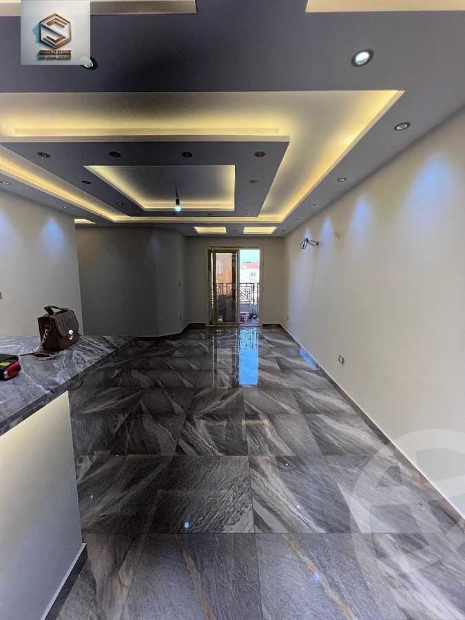 https://aqarmap.com.eg/en/listing/6173112-for-rent-cairo-nasr-city-mostafa-el-nahaas-st