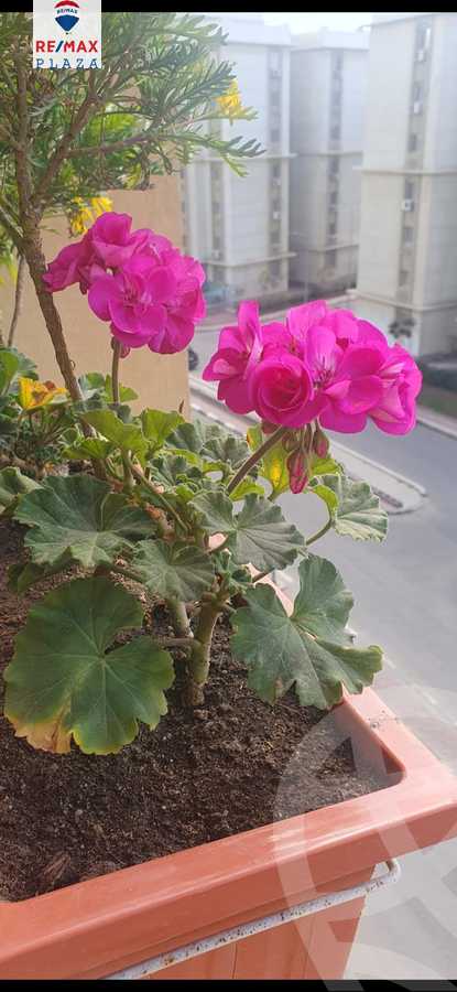 https://aqarmap.com.eg/en/listing/5839053-for-sale-cairo-nasr-city-compounds-gardinia-city