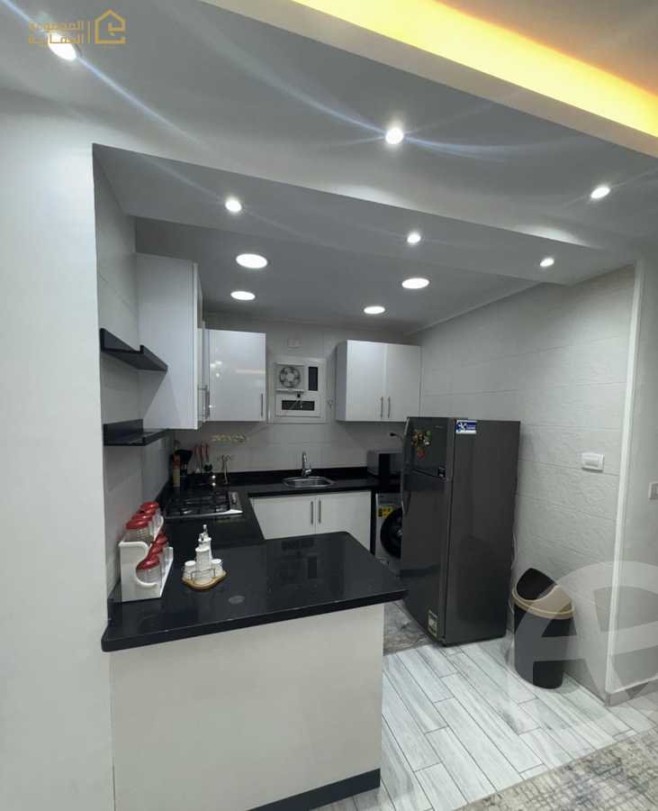 https://aqarmap.com.eg/en/listing/6340025-for-rent-cairo-new-cairo-lrhb-city-phase-1-youssef-el-sebaey-st