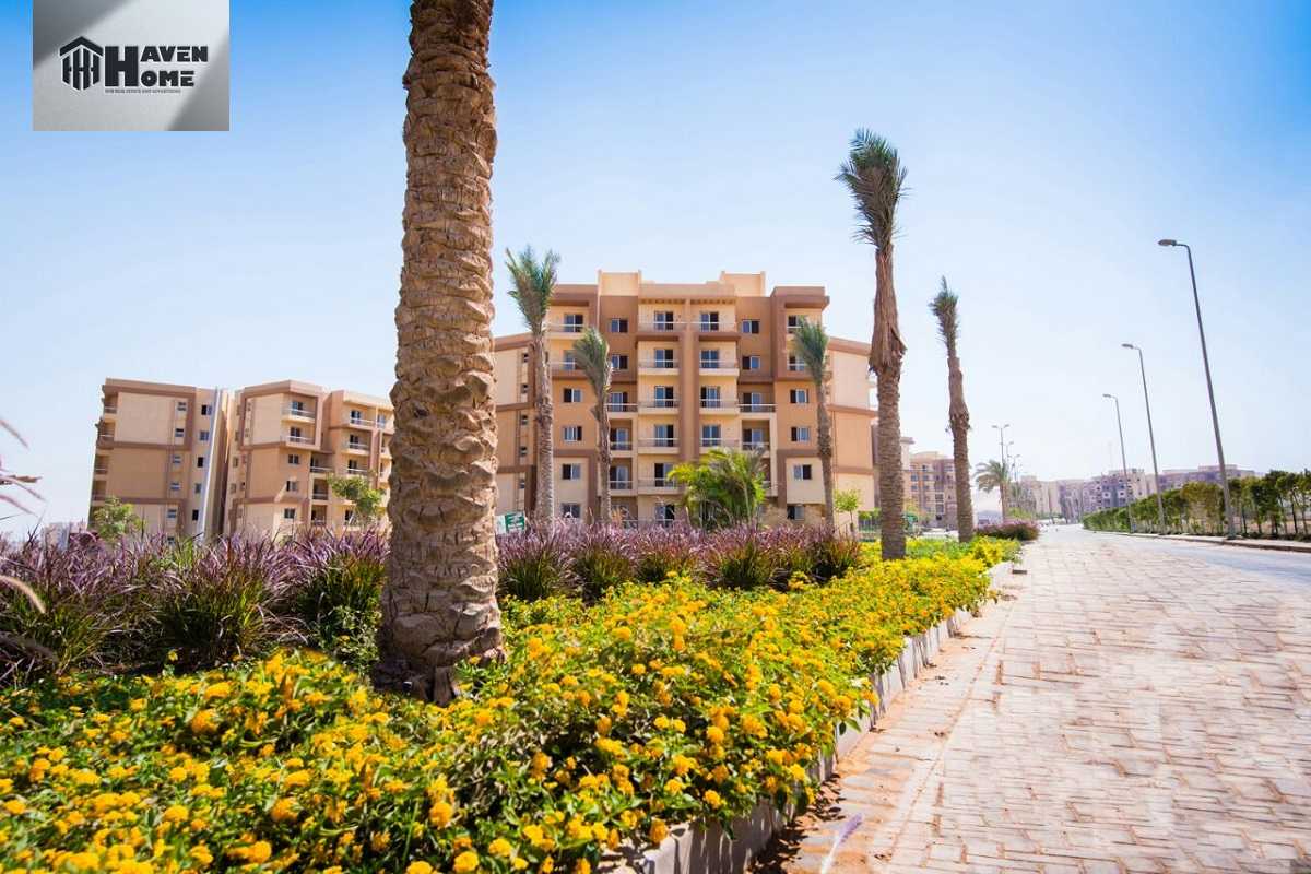 https://aqarmap.com.eg/en/listing/5689551-for-sale-cairo-6th-of-october-hadaeq-october-kmbwnd-fy-hdyq-ktwbr-ashgar-city