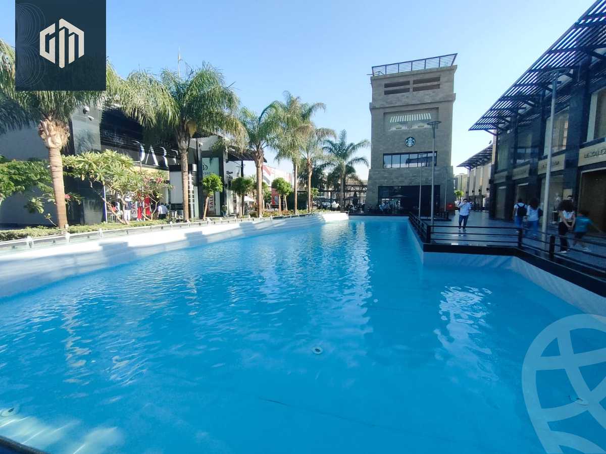 https://aqarmap.com.eg/en/listing/4698868-for-rent-cairo-new-cairo-dwn-twn