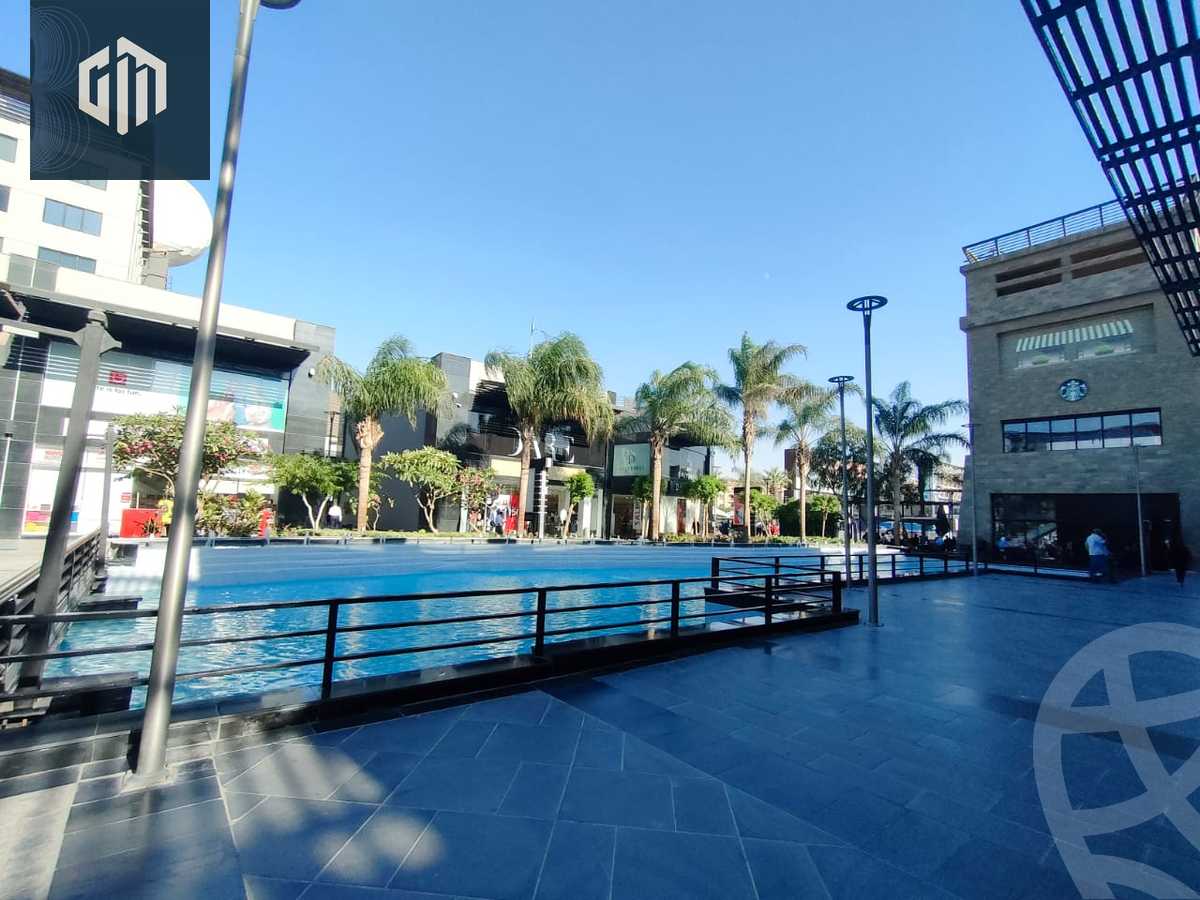 https://aqarmap.com.eg/en/listing/4698868-for-rent-cairo-new-cairo-dwn-twn