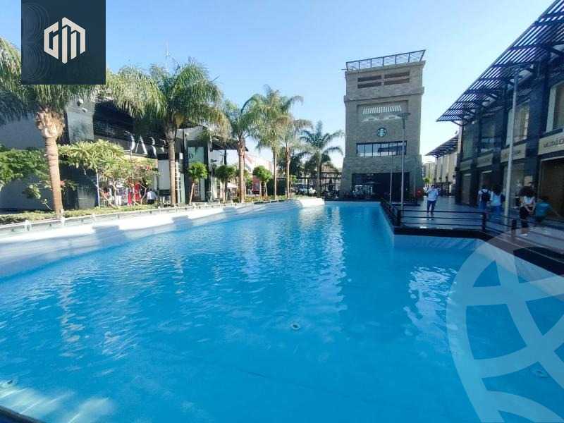 https://aqarmap.com.eg/en/listing/6129793-for-rent-cairo-new-cairo-dwn-twn