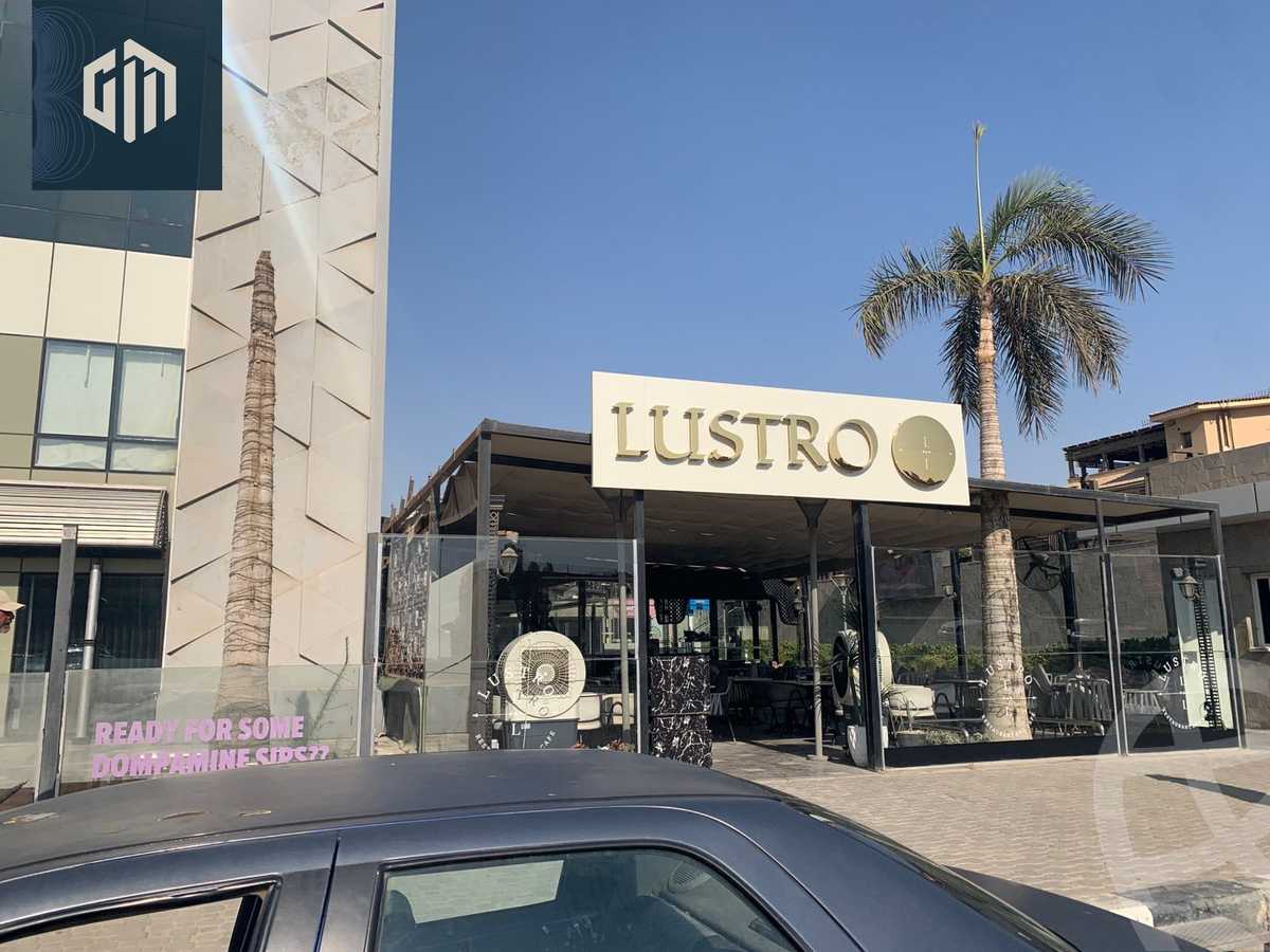 https://aqarmap.com.eg/en/listing/6186768-for-rent-cairo-new-cairo-90th-street-northern-90th-street