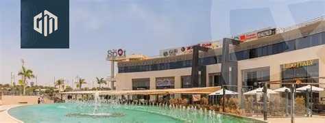 https://aqarmap.com.eg/en/listing/6187240-for-rent-cairo-new-cairo-90th-street-south-teseen-st