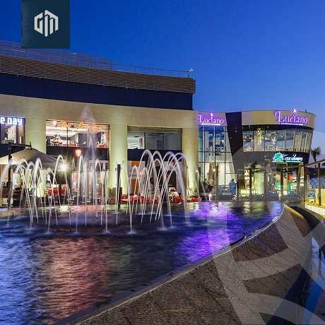 https://aqarmap.com.eg/en/listing/6187301-for-rent-cairo-new-cairo-new-narges