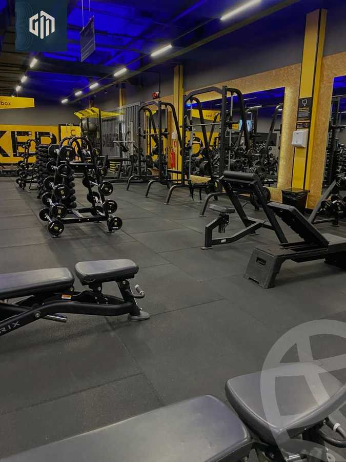 https://aqarmap.com.eg/en/listing/6249447-for-rent-cairo-new-cairo-90th-street-northern-90th-street