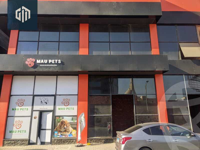 https://aqarmap.com.eg/en/listing/6405647-for-rent-cairo-new-cairo-90th-street-south-teseen-st