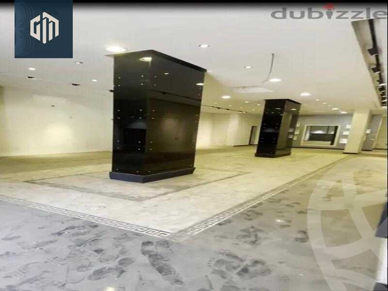 https://aqarmap.com.eg/ar/listing/6425782-for-rent-cairo-new-cairo-90th-street-south-teseen-st