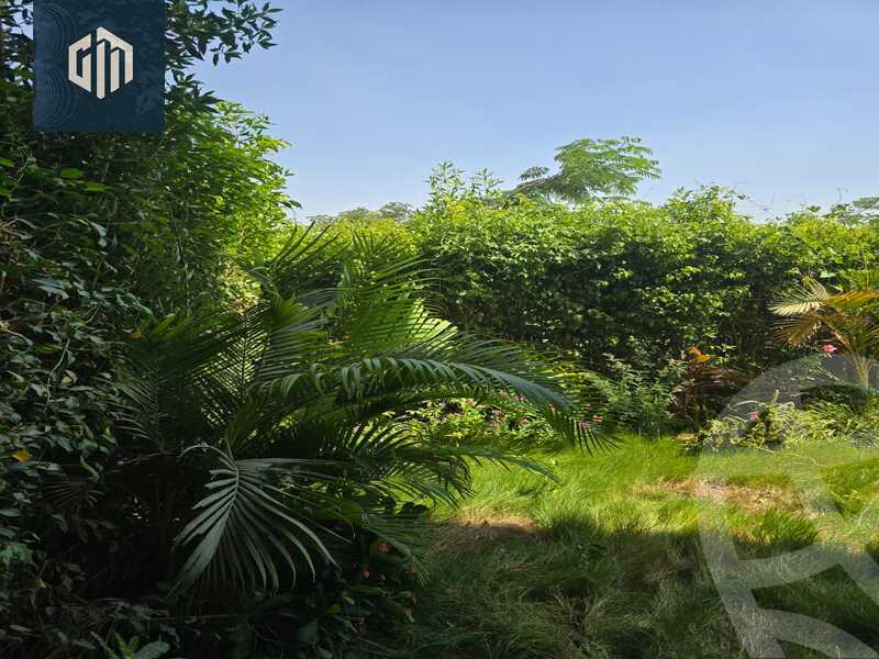 https://aqarmap.com.eg/en/listing/6425991-for-rent-cairo-new-cairo-compounds-mivida-mivida-business-park-emaar